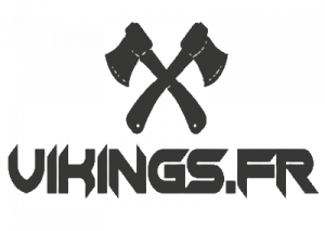 logo de Viking Shop