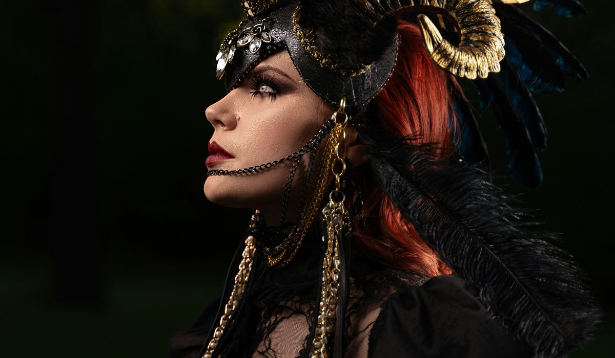 VikingShop qui sont-ils ?