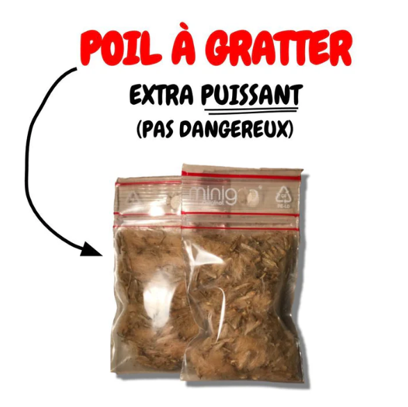 Poil à Gratter